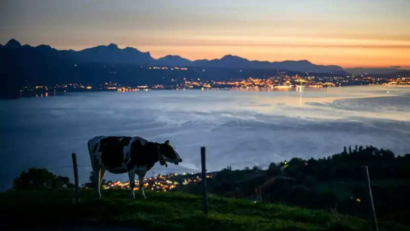 Swiss Farmers Protest US Trade Deal Over Chlorinated Chicken Fears