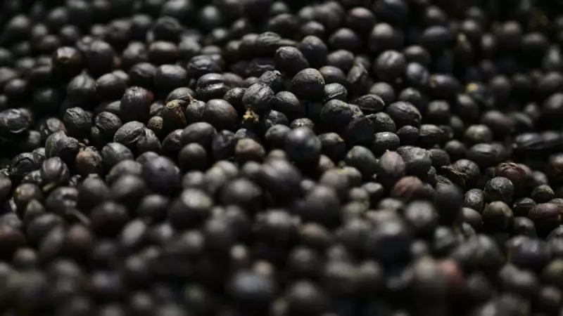 Trump Cuts Tariffs on Beef, Coffee to Ease Cost of Living Pressure