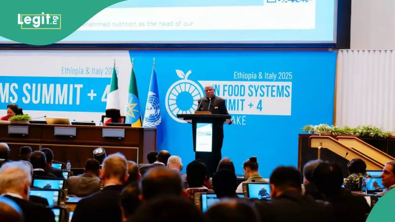 UN Projects Nigeria Among Top 4 Most Populous Nations by 2100