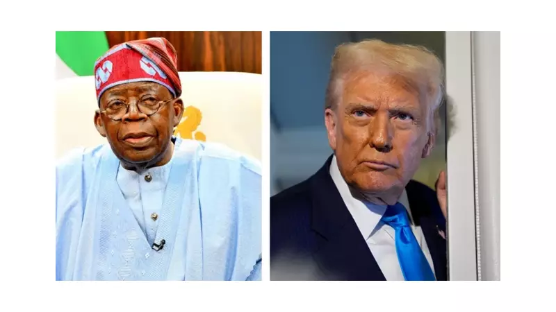 US Cannot Launch Military Action in Nigeria Without FG Approval - Tinubu's Aide Warns