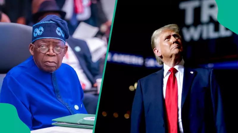 US Lawmakers Issue Stern Warning to Trump Over Potential Military Action in Nigeria