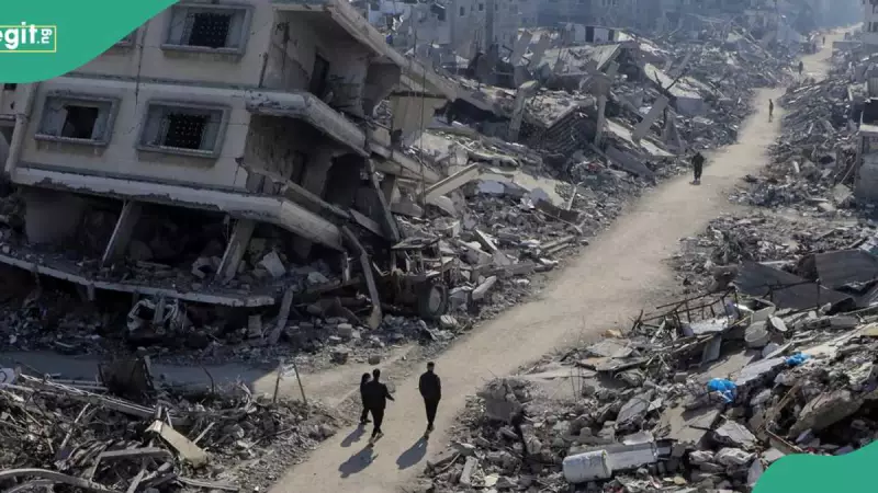 WHO Vaccinates Over 10,000 Gaza Children in Ceasefire Health Drive