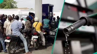 Dangote Refinery Cuts Petrol Price to ₦880.5/Litre - Market Competition Heats Up!