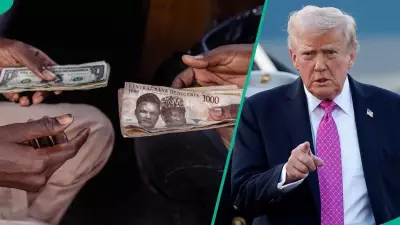 Naira in Freefall: Trump's Victory Sends Nigerian Currency and Stocks Plummeting