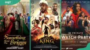 7 Best Nollywood Films of 2025: Top Nigerian Movies Redefining Cinema