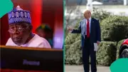 Analyst Links Trump's Nigeria Outburst to IPOB Propaganda