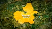Bauchi Governor Declares Nov 28 Public Holiday for Sheikh Bauchi