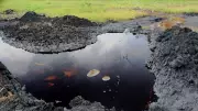 Beyond Cleanup: Nigeria's Bold New Strategy to Finally End Niger Delta Oil Spillage Crisis
