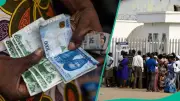 CBN Releases New Bank Lending Rates: Access, UBA, Zenith Rates Up