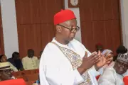 Delta North Leaders Reject Nwoko's Plan for Anioma State in South-East