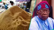 Garri Price Crashes by 52% as Nigeria's Inflation Drops to 16.05%