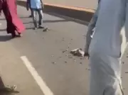 Kaduna Police Recover 210 Rounds of Ammunition on Highway