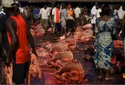 L-PRES Training Transforms Meat Safety in Taraba Abattoirs
