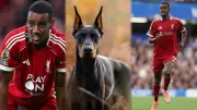 Liverpool's Alexander Isak Buys £30k Guard Dog After Death Threats