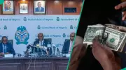 Naira Records Best Exchange Rate of 2025 as External Reserves Hit New High - CBN Reports Major Economic Boost