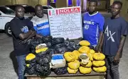 NDLEA Bust: Hotelier Nabbed with 1,762kg of Cannabis in Lagos Raid