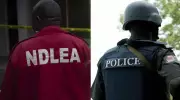 NDLEA Strikes Hard: Major Drug Busts Across 7 Nigerian States, 15+ Suspects Nabbed