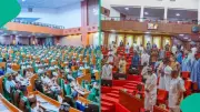Nigerian Senate Demands 100,000 Military Recruitment to Fight Insecurity