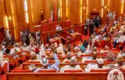 Nigerian Senate Exposes Deadly Chemical Contamination in Nation's Food Supply