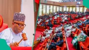 Nigerian Senate Urges Firearms Law Review for Citizen Self-Defense