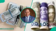 Nigeria's FX Inflows Drop 25% to $672m Despite Naira Gains