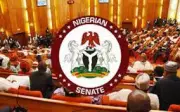 Senate Rejects Ethnic Commission Bill, Citing Redundancy and Cost