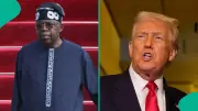 Trump and Nigeria: 5 Times the Former US President Made Headlines in Africa's Giant