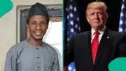 Trump's Threat to Nigeria: NNPP Chieftain Urges Tinubu to Focus on Real National Challenges