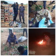 Yobe Hisbah Forces Unleash Fury: 8,700 Bottles of Alcohol Destroyed in Public Showdown!