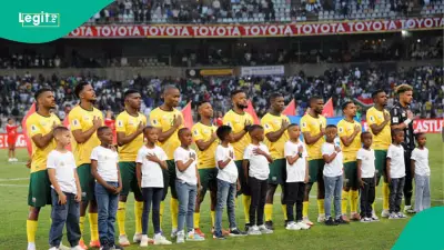 AFCON 2025: Mysterious Cat 'Oracle Whiskers' Predicts South Africa vs Angola, Other Matches