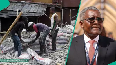 Dangote Reveals Why Cement Costs More in Nigeria Than Abroad