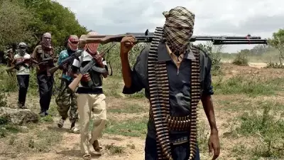 FG Officially Labels Kidnappers and Bandits as Terrorists in Major Policy Shift