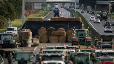 French Farmers Protest Cattle Culls Amid Lumpy Skin Disease Outbreak
