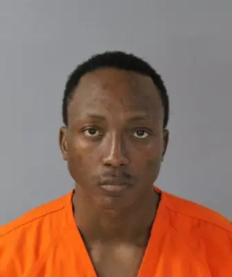 Nigerian Immigrant, 25, Pleads Guilty to Firearms Fraud in US