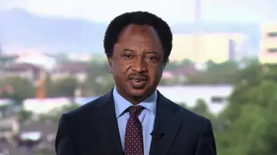 Shehu Sani Supports US Airstrikes on Terrorists in Nigeria, Urges Self-Reliance