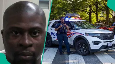 US to Deport Ex-Bloods Gang Member to Nigeria Over 6 Criminal Convictions