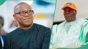 2027 Election: ADC Chieftain Explains Party's Chances if Peter Obi Snubs Atiku