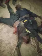 21 ISWAP Terrorists Neutralised in Borno by Army, CJTF in Fierce Battle