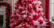7 Biggest Christmas Tree Trends Dominating Nigerian Homes in 2025