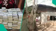 EFCC Nabs 5 'Babalawos' With $3.4M, €280K Fake Currency in Osun, Lagos