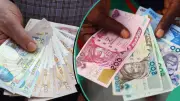 Naira Slides to ₦1,457.84/$1 at Official Market Despite CBN Intervention