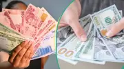 Naira Volatility Returns: Official and Black Market Dollar Rates Diverge Sharply