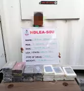 NDLEA Nabs Female Drug Kingpin in Lagos with N5bn Cocaine in Kids' Room