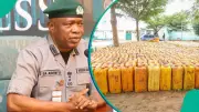 Nigeria Customs Seizes N181 Million Worth of Petrol in Adamawa