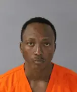 Nigerian Immigrant, 25, Pleads Guilty to Firearms Fraud in US