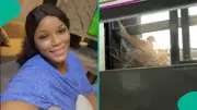 Nigerian Lady Becomes Godmother as Bird Hatches Eggs on Her Bathroom Window