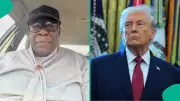 Nigerian Writer Blasts Trump Over Travel Ban: 'Keep Your Crime-Infested Country'