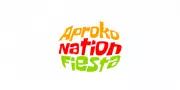 Thousands of Nigerian Youths Unite at AprokoNation Fiesta 2025 for Culture & Wellness