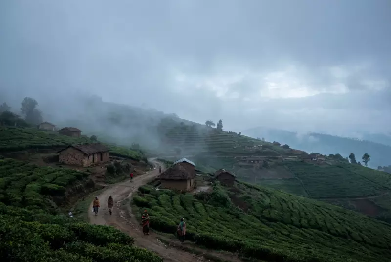 Plateau State is Nigeria's Coldest: Discover the Frosty Facts