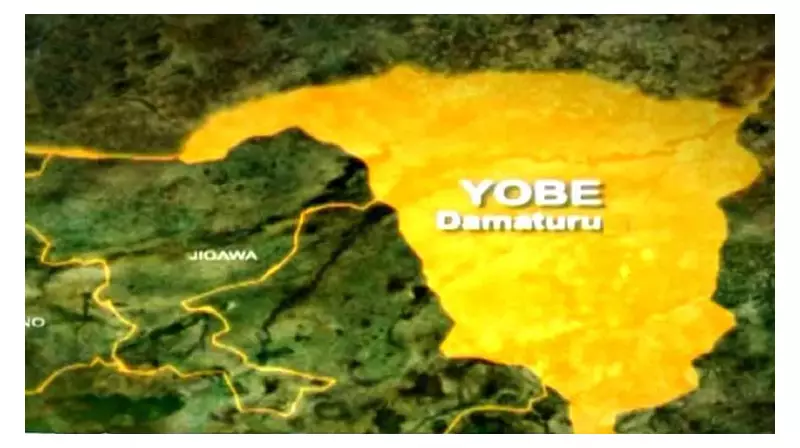Yobe Boat Disaster: 25 Dead, 13 Rescued, 14 Missing After Canoe Capsizes